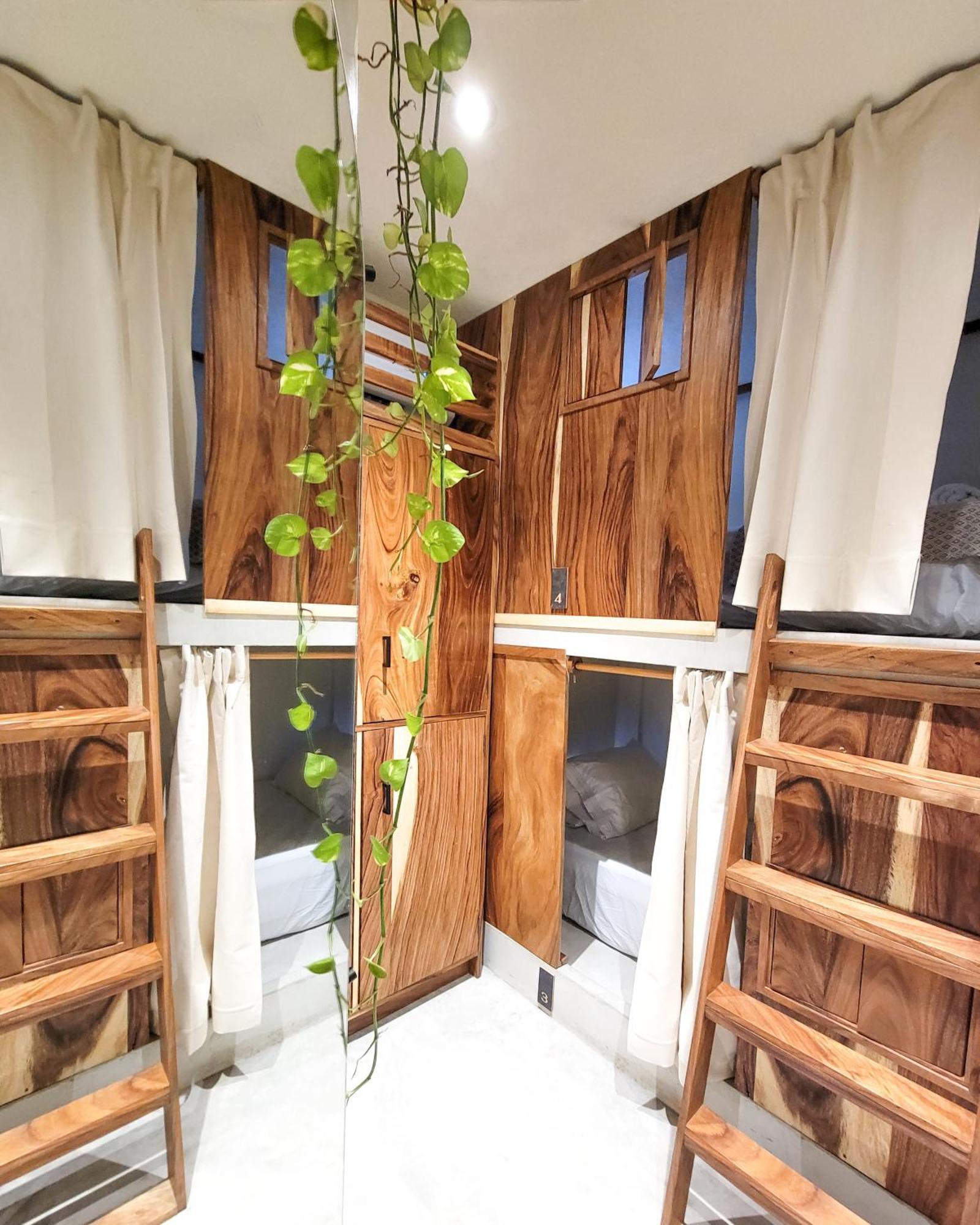 Caracola Boutique Hostel El Paredón Buena Vista 外观 照片